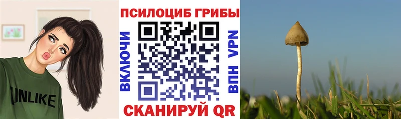что такое наркотик  kraken рабочий сайт  Псилоцибиновые грибы MAGIC MUSHROOMS  Электроугли 